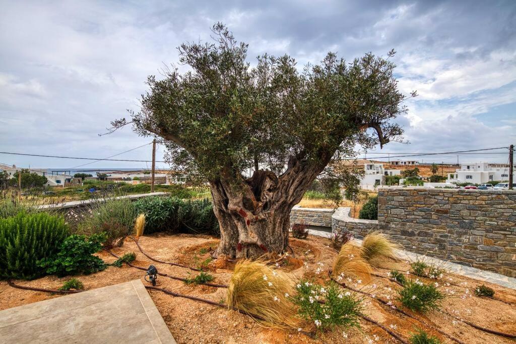 Grand Villa Reve Zambujeira do Mar Dış mekan fotoğraf