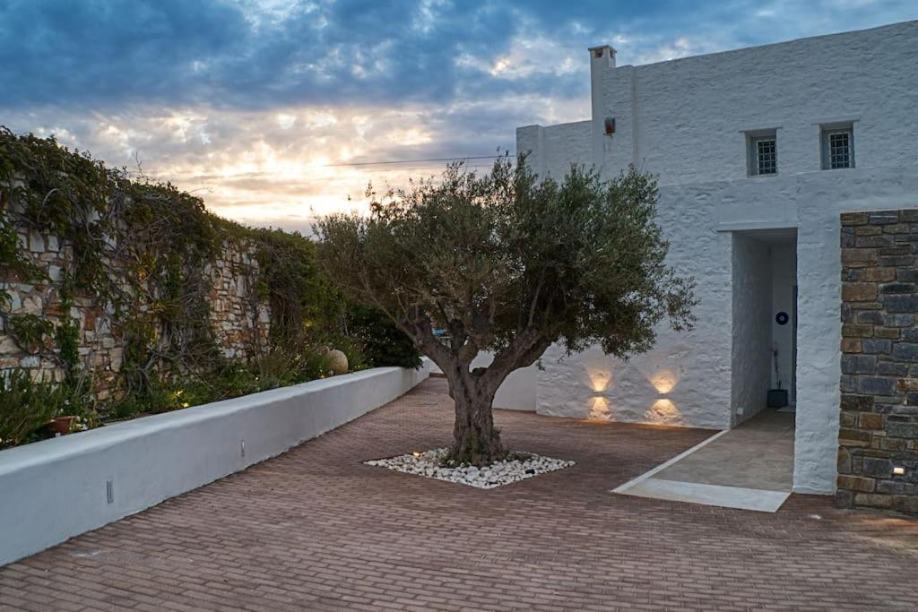 Grand Villa Reve Zambujeira do Mar Dış mekan fotoğraf